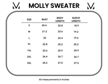 Load image into Gallery viewer, Molly Crew Sweater- Natural