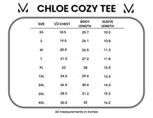 Load image into Gallery viewer, IN STOCK Chloe Cozy Tee - Grey | Women&#39;s V-Neck Top FINAL SALE