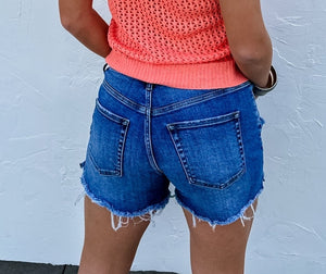 Blakeley River Rawhem Denim Shorts