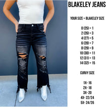 Load image into Gallery viewer, Blakeley Urban Distressed Denim- Black